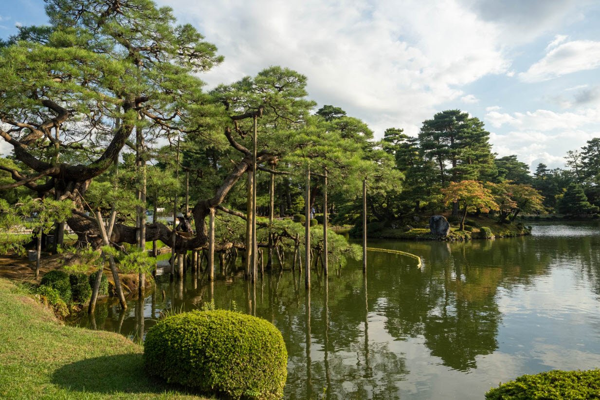 Kanazawa University Medicinal Plant Garden, Japan